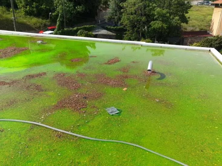 Mise en eau d'une toiture-terrasse avec colorant fluorescéine